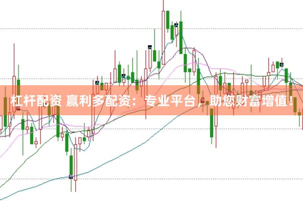 杠杆配资 赢利多配资：专业平台，助您财富增值！