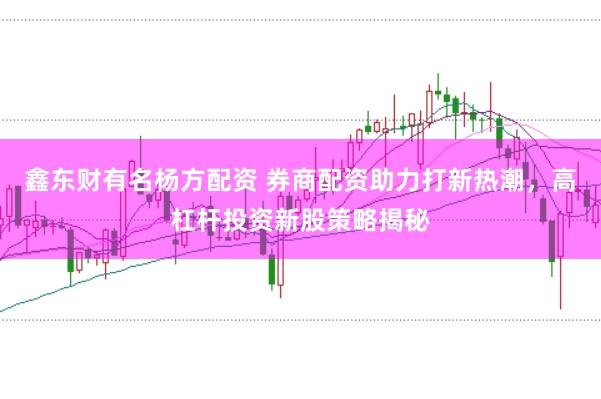 鑫东财有名杨方配资 券商配资助力打新热潮，高杠杆投资新股策略揭秘