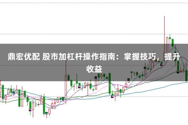 鼎宏优配 股市加杠杆操作指南：掌握技巧，提升收益