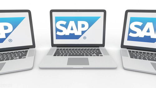 汐帆信息 SAP坚定ERP云转型之路,开启SAP新征程